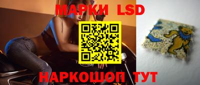 крисы Гатчина