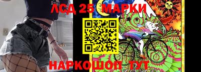 крисы Гатчина