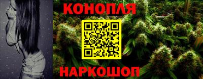 крисы Гатчина