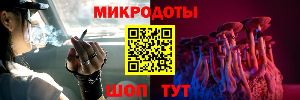 Галлюциногенные грибы ЛСД Губкин