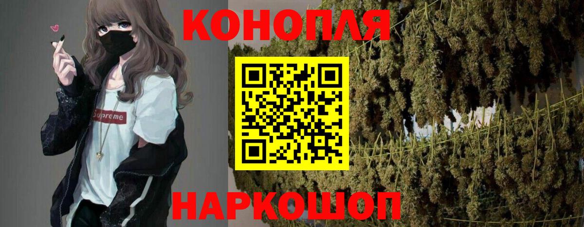 Губкин  Шишки марихуана план  Каннабис ГИДРОПОН  Каннабис ГИДРОПОН  Вход с VPN 